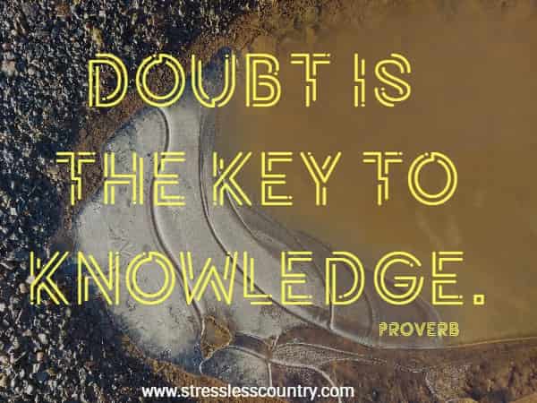 Doubt is the key to knowledge