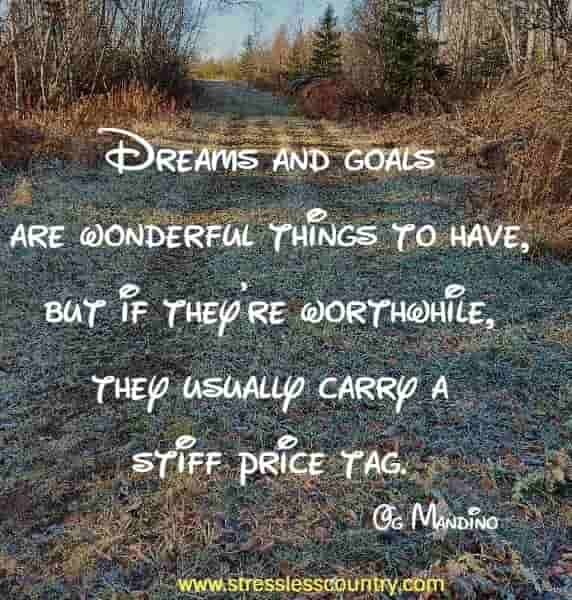 Dreams and goals are wonderful things to have, but if they're worthwhile, they usually carry a stiff price tag.
