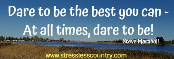 dare to be the best you can - at all times, dare to be