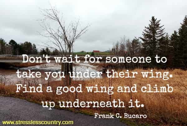 Don't wait for someone to take you under their wing. Find a good wing and climb up underneath it.