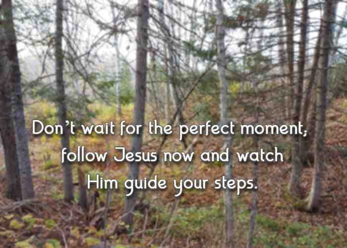 Don’t wait for the perfect moment; follow Jesus now and watch Him guide your steps