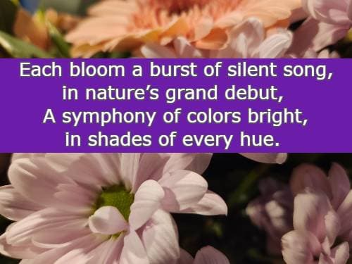 Each bloom a burst of silent song, in nature’s grand debut, A symphony of colors bright, in shades of every hue