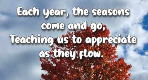 Each year, the seasons come and go, Teaching us to appreciate as they flow