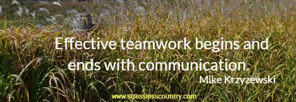 Effective teamwork begins and ends with communication.