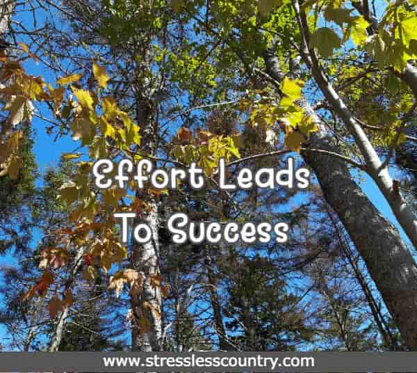 Effort Leads To Success 