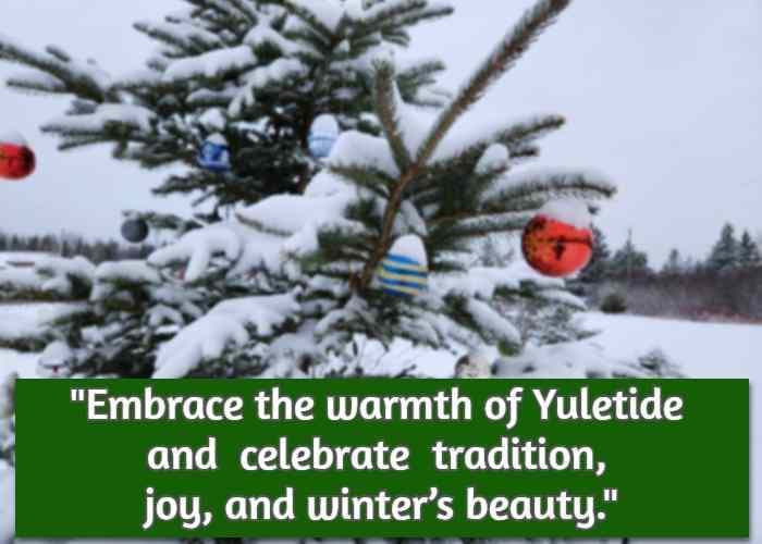 Embrace the warmth of Yuletide and  celebrate  tradition, joy, and winter’s beauty