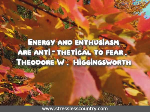 Energy and enthusiasm are anti-thetical to fear.