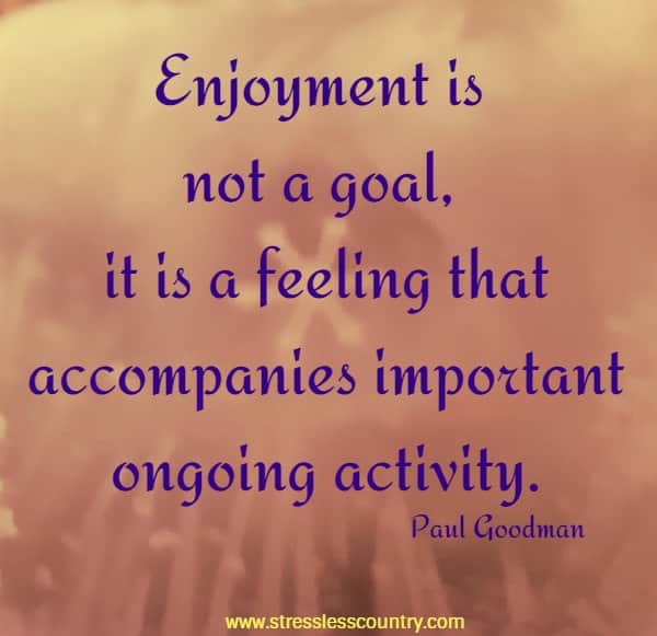 Enjoyment is not a goal, it is a feeling that accompanies important ongoing activity.