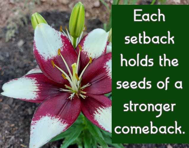 Each setback holds the seeds of a stronger comeback.