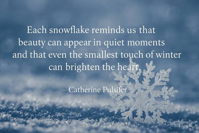 Each snowflake reminds us that beauty can appear in quiet moments and that even the smallest touch of winter can brighten the heart.