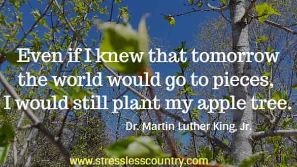 Even if I knew that tomorrow the world would go to pieces, I would still plant my apple tree.