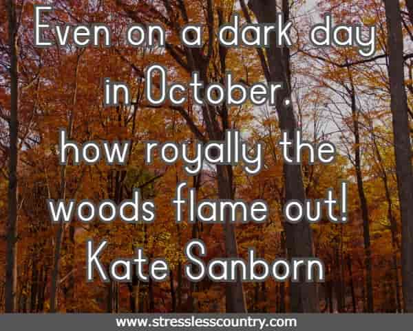 Even on a dark day in October, how royally the woods flame out!