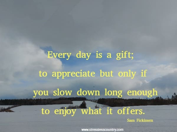 Every day is a gift; to appreciate but only if you slow down long enough to enjoy what it offers.