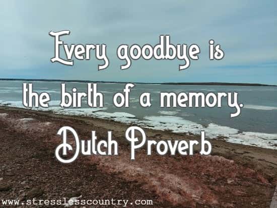 Every goodbye is the birth of a memory.