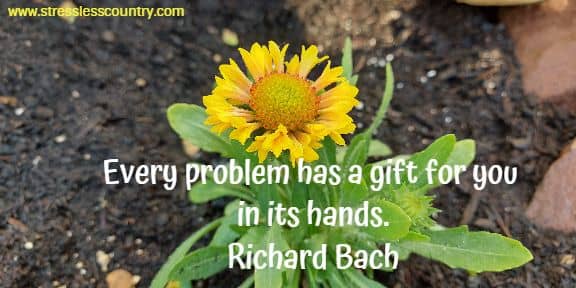 Every problem has a gift for you in its hands.