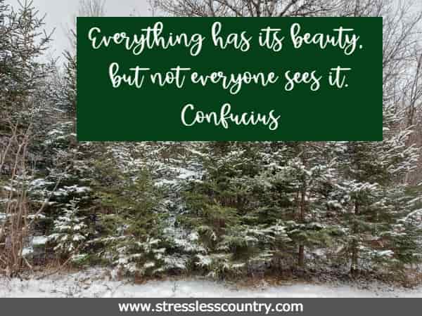 everything has its beauty but not everyone sees it