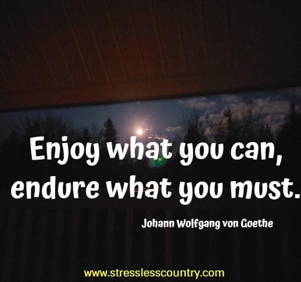 Enjoy what you can, endure what you must.