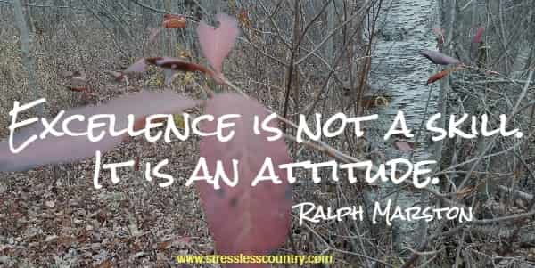 Excellence is not a skill. It is an attitude.