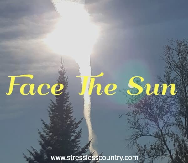 face the sun