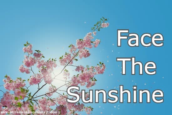 face the sunshine