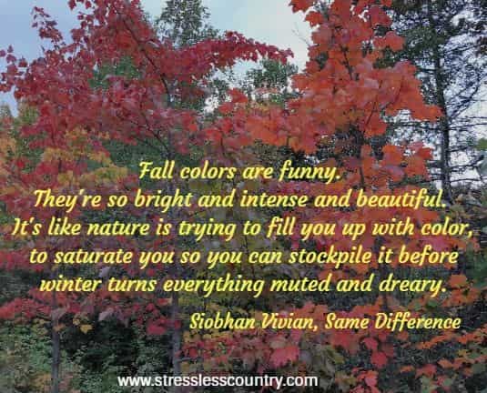 fall colors