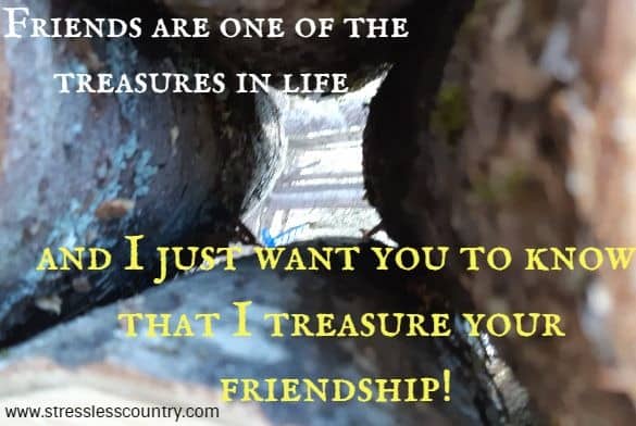 	 Friends are one of the treasures in life and I just want you to know that I treasure your friendship!