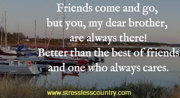 Friends come and go, but you, my dear brother, are always there! Better than the best of friends and one who always cares.