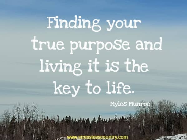 Finding your true purpose and living it is the key to life.