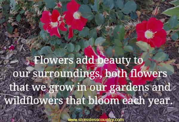 Flowers add beauty to our surroundings, both flowers that we grow in our gardens and wildflowers that bloom each year.
