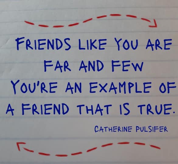 Friends like you are far and few -You're an example of a friend that is true.