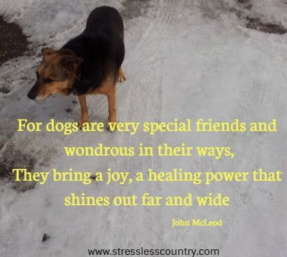 For dogs are very special friends and wondrous in their ways, they bring a joy, a healing power that shines out far and wide