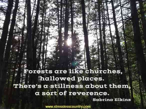 a stillness and a reverence within them