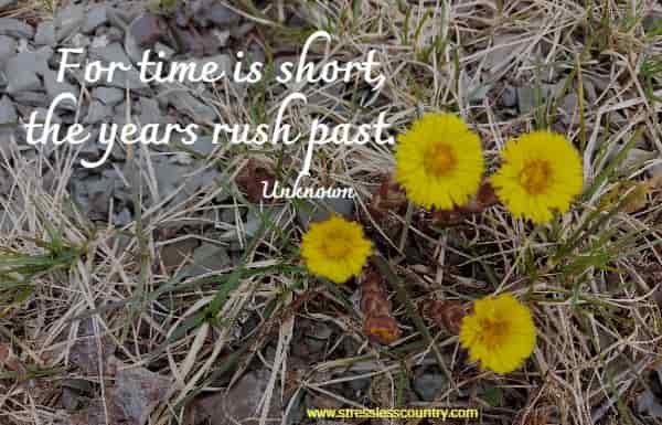 For time is short, the years rush past.