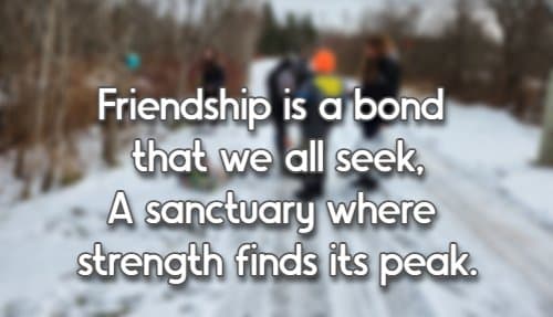 Friendship is a bond that we all seek, A sanctuary where strength finds its peak