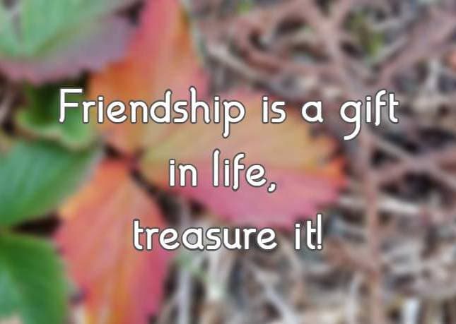 Friendship is a gift in life, treasure it!