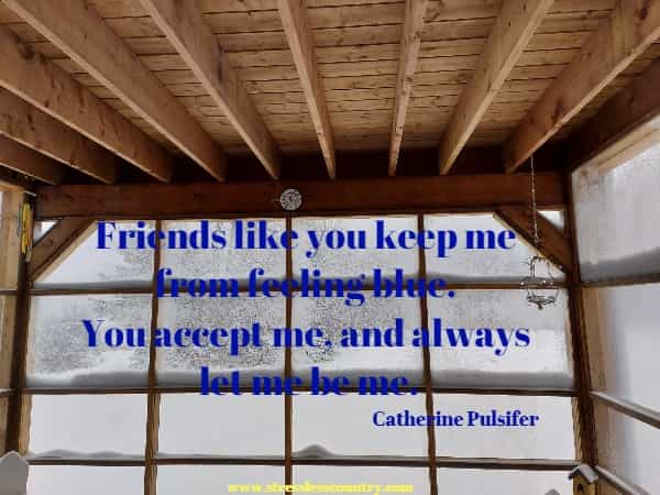 Friends like you keep me from feeling blue.  You accept me, and always let me be me. Catherine Pulsifer