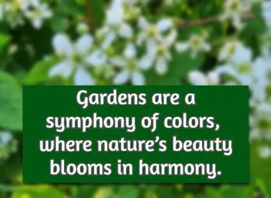Gardens are a symphony of colors, where nature’s beauty blooms in harmony