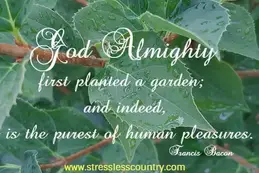 God S Garden Poem Short Poems And Quotes