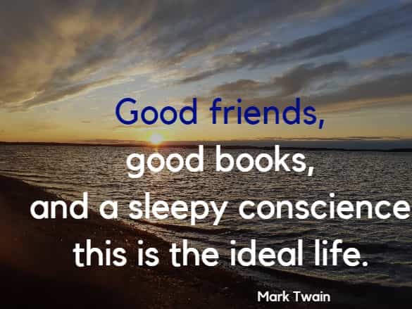 Good friends, good books, and a sleepy conscience: this is the ideal life.