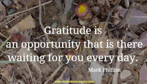 Gratitude is an opportunity that is there waiting for you every day.