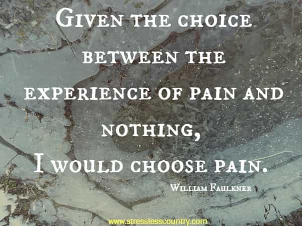 Given the choice between the experience of pain and nothing, I would choose pain