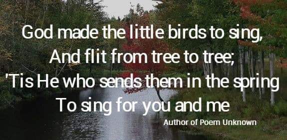 God made the little birds to sing, And flit from tree to tree; 'Tis He who sends them in the spring To sing for you and me.