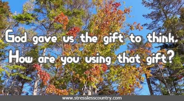 God gave us the gift to think, How are you using that gift?