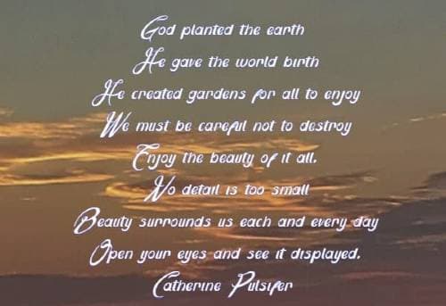 God planted the earth He gave the world birth He created gardens for all to enjoy We must be careful not to destroy Enjoy the beauty of it all. No detail is too small Beauty surrounds us each and every day Open your eyes and see it displayed. Catherine Pulsifer