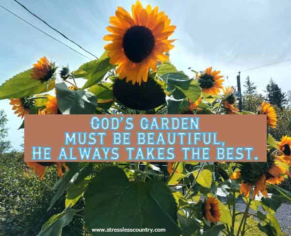 God’s garden must be beautiful, He always takes the best.