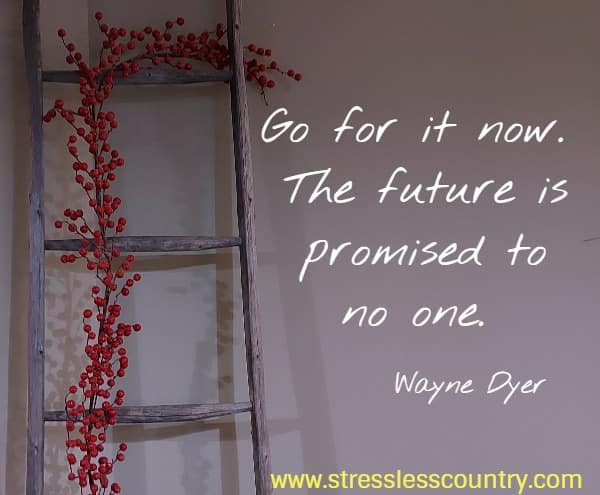 Go for it now. The future is promised to no one.