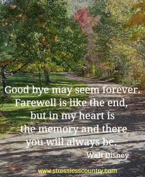 Good bye may seem forever. Farewell is like the end,  but in my heart is the memory and there you will always be.