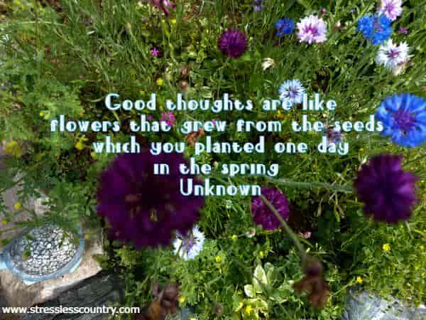 Good thoughts are like flowers that grew from the seeds which you planted one day in the spring