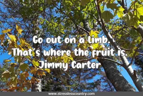 Go out on a limb. That’s where the fruit is.