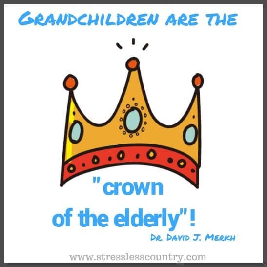 Grandchildren are the crown of the elderly!